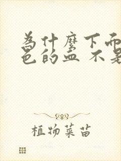 为什么下面有褐色的血 不是月经