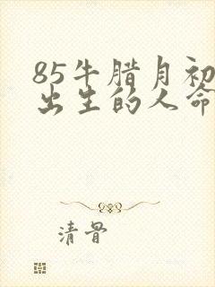85牛腊月初六出生的人命运