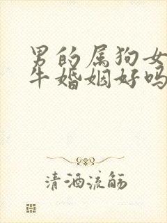 男的属狗女的属牛婚姻好吗