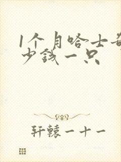 1个月哈士奇多少钱一只