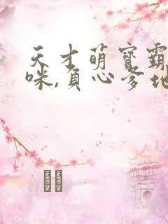 天才萌宝霸宠妈咪,负心爹地靠边站