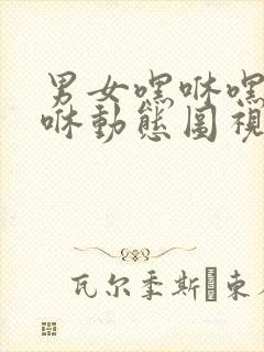 男女嘿咻嘿咻嘿咻动态图视频