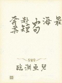 奔赴山海最火文案短句