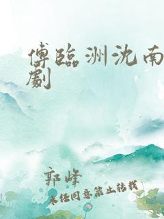 傅临洲沈南意短剧