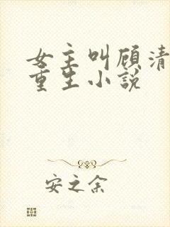 女主叫顾清欢的重生小说