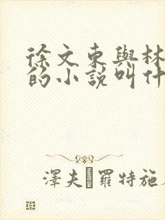 徐文东与林伊人的小说叫什么