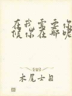 在我需要你的时候你在哪呢是什么歌