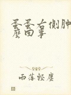 蛋蛋右侧肿疼怎么回事