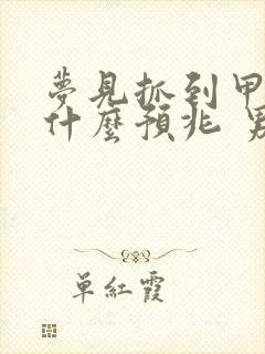 梦见抓到甲鱼是什么预兆 男性