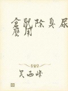 仓鼠除臭尿沙怎么用