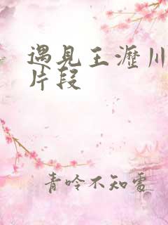 遇见王沥川精彩片段