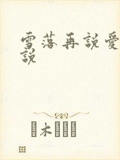 雪落再说爱你小说