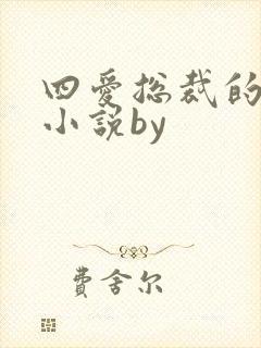 四爱总裁的训诫小说by