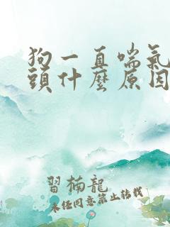 狗一直喘气伸舌头什么原因