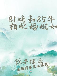 81鸡和85牛相配婚姻如何
