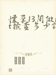 怀孕13周做nt检查多少钱