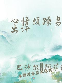 心情烦躁易怒爱出汗