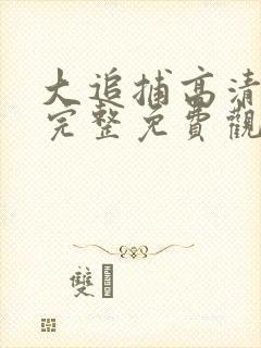 大追捕高清在线完整免费观看