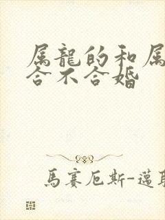 属龙的和属蛇的合不合婚