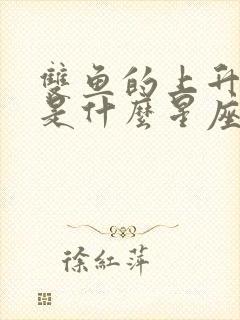 双鱼的上升星座是什么星座