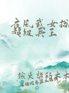 夜风武女总裁的超级兵王