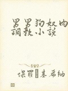 男男狗奴肉便器调教小说