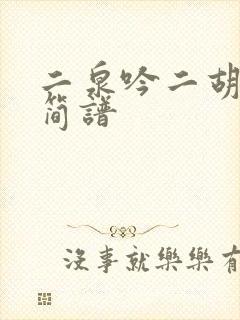 二泉吟二胡g调简谱