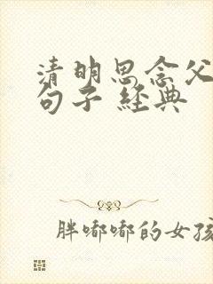 清明思念父亲的句子 经典