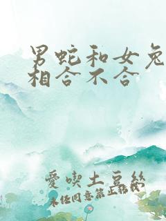 男蛇和女兔的属相合不合