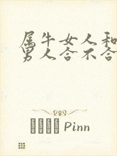 属牛女人和属马男人合不合婚
