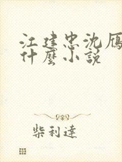 江建忠沈雁冰是什么小说