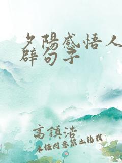 夕阳感悟人生精辟句子