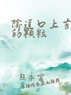 阴道口上有白色的颗粒