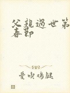 父亲过世第一年春节