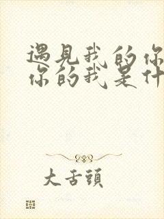 遇见我的你碰到你的我是什么歌