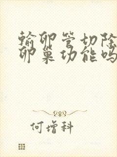 输卵管切除影响卵巢功能吗