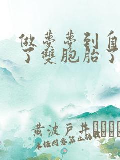 做梦梦到自己怀了双胞胎了是什么意思