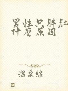 男性只胖肚子是什么原因