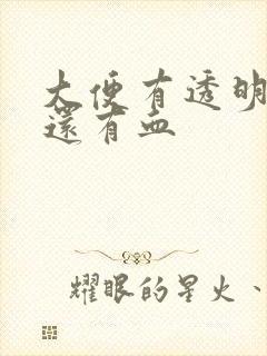 大便有透明粘液还有血