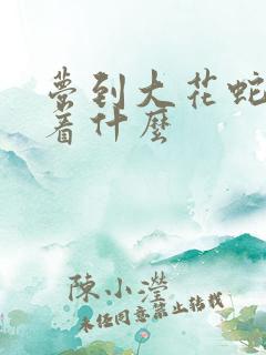 梦到大花蛇预示着什么