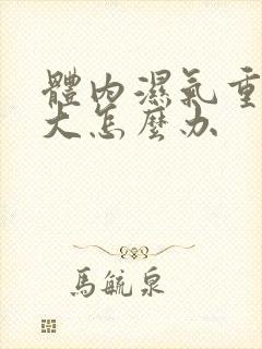 体内湿气重肚子大怎么办