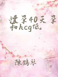 怀孕40天孕酮和hcg低