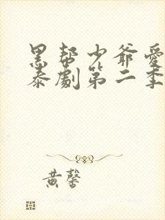 黑帮少爷爱上我泰剧第二季