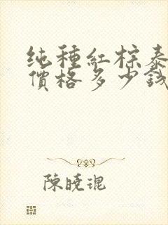 纯种红棕泰迪犬价格多少钱一只