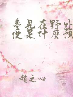 梦见在野外拉大便是什么预兆