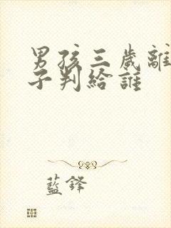 男孩三岁离婚孩子判给谁