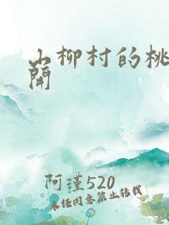 山柳村的桃花盛开