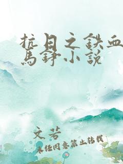 抗日之铁血兵王马铮小说