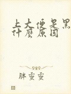 上大便是黑色是什么原因