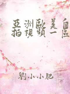 亚洲欧美自拍偷拍视频一区二区